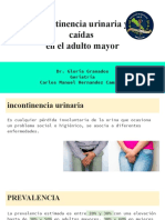 Incontinencia Urinaria y Caídas en El Adulto Mayor