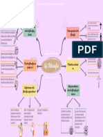 Conclusiones de La Filosofía