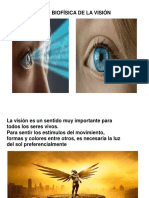 BF Visiòn. - Generalidades 2022