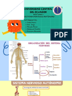 Sistema Nervioso