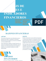 Analisis de Razones e Indicadores Financieros