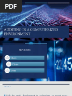 Auditing in A Computerized Environment