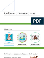 10 CulturaOrganizacional