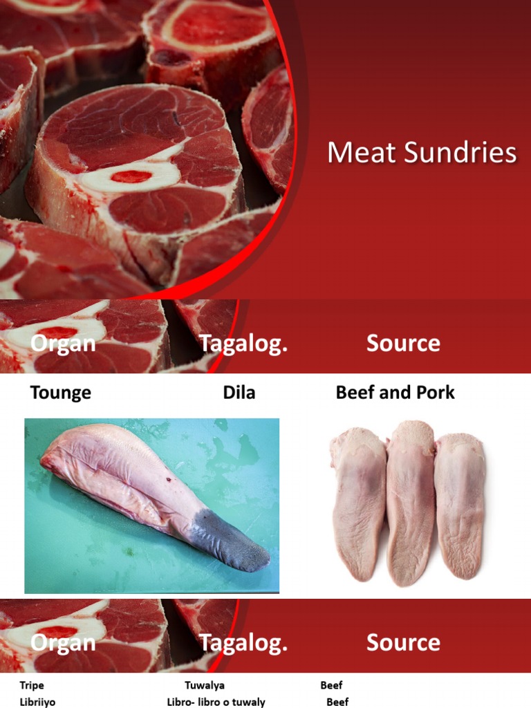 Tagalog Terms for Meat Sundries | PDF | Cooking, Food & Wine | Wellness