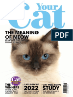 The Meaning of Meow: Study