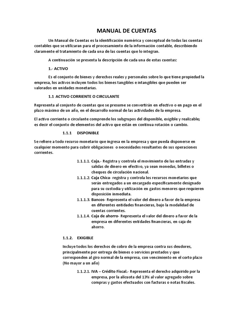 Manual de Funciones y Plan de Cuentas | PDF | Negocios | Finanzas y dinero