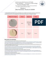 Reporte Lab Bio