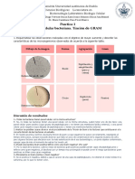 Reporte Lab Bio