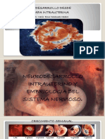 Neurodesarrollo Intrauterino y Embriologia Del Sistema Nervioso.