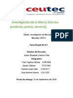 Avance Proyecto Investigcion Del Meracdo