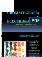 Bioquimica Expo Sic Ion Electroforesis y Cromatografia