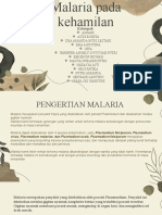 Malaria Pada Ibu Hamil