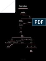 Protein Synthesis