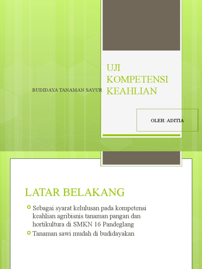 Uji Kompetensi Keahlian Aditia | PDF
