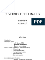 Reversible Cell Injury 1111