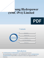 3 - Zhongsheng Hydropower (SMC-PVT) Limited