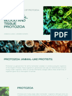 General Properties of Protozoa