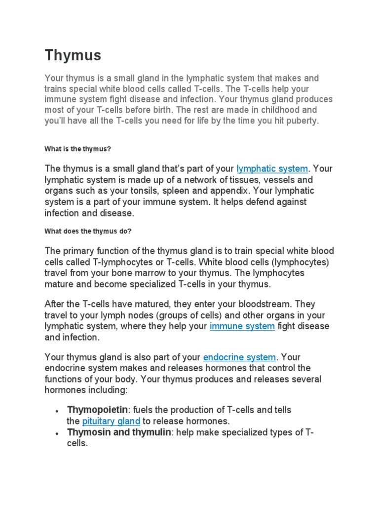 Thymus Pdf Thymus Lymphatic System