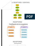 Tema 6 - Recptores y Efectores. Estímulos y Respuestas