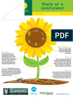 Sfik Parts of A Sunflower Poster