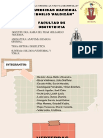 Osteología Tórax y Columna Vertebral