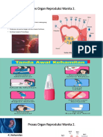Proses Organ Reproduksi Wanita 2 PDF