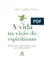 A Vida Na Visão Do Espiritismo - Alexandre Caldini Neto