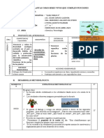 Cyt - Las Plantas Como Seres Vivos Que Cumplen Funciones