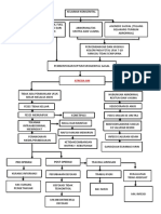 Atresia Ani Pathway