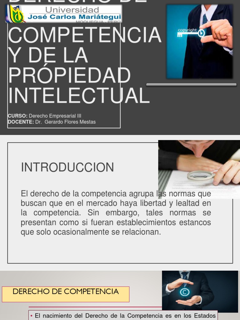 Derecho de La Competencia y de La Própiedad Intelectual | PDF ...