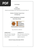 PDF Document
