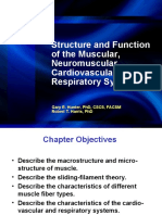 Chapter 1 - Structure and Function, Muscle, Neuromuscular, Cardiovascular, and Respiratory Systems
