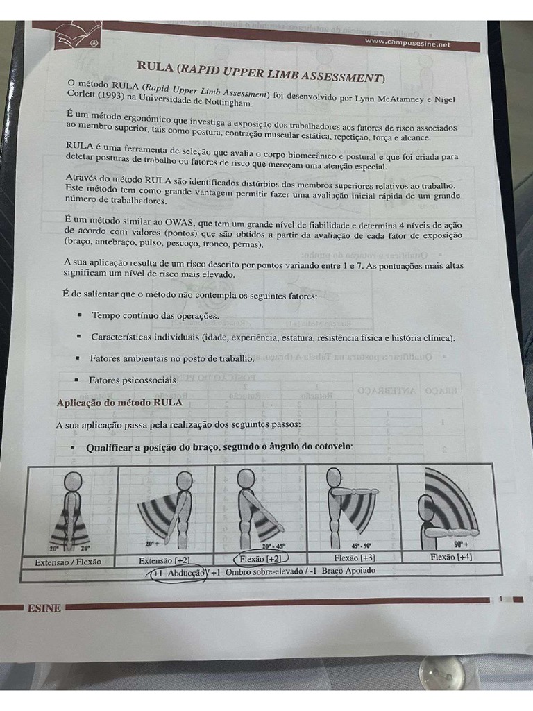 Rula | PDF
