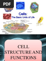 Components of Cell