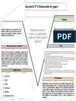 DIAGRAMA-V-DE-GOWIN-YOGURT