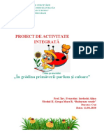 Proiect-Activitate-Integrata FINALA GRAD I ALINA-1