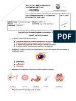 EXAMEN 1ER QUIMESTRE DE 10mo A 2022