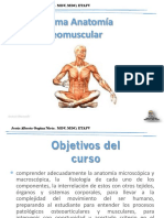 Anatomia Osteomuscular