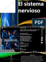 Sistema Nervioso (1) (1) - 1