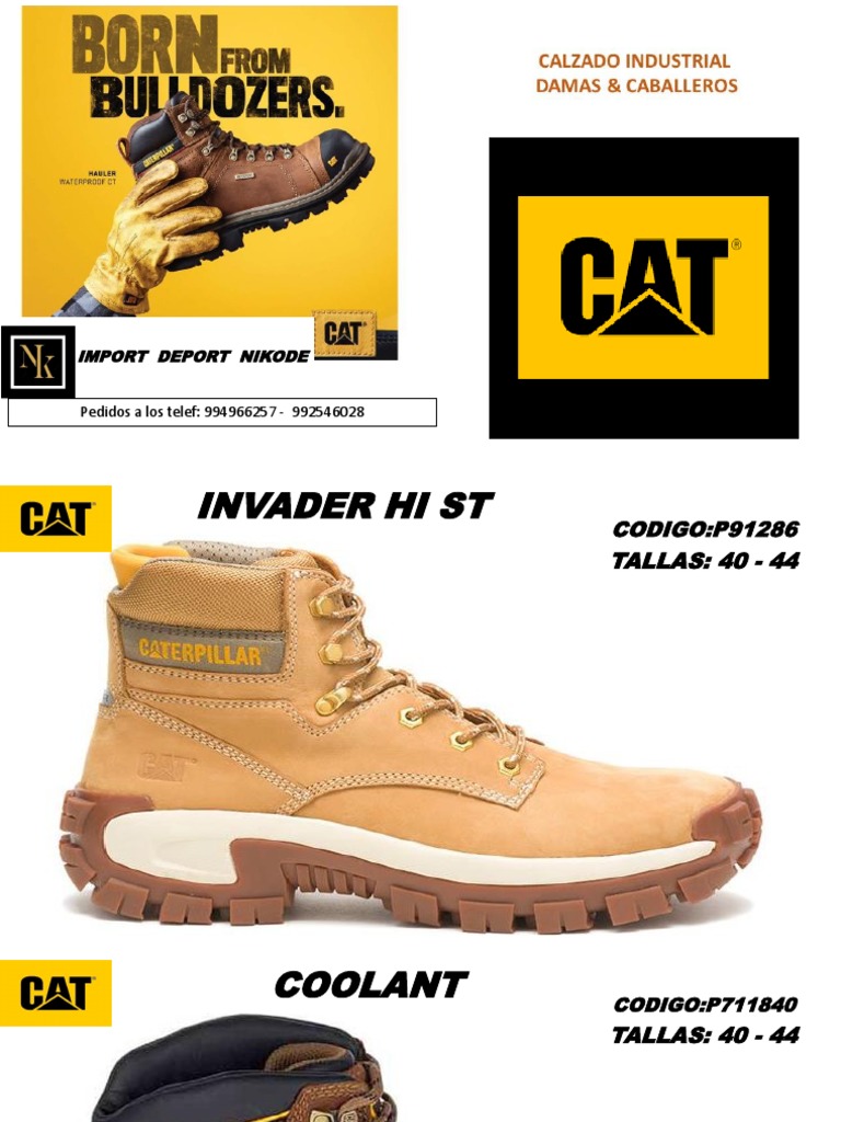 Caterpillar 1 | PDF