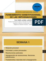 Sesion 1 - Fundamentos Constitucionales de Las Impugnaciones