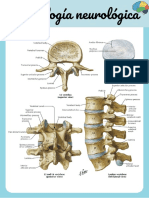 Semiología Neurológica Hernia Discal