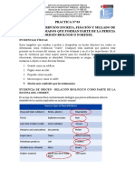 PRACTICA #03 Biologia Forense