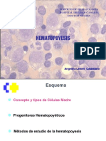 Hematopoyesis 2021 Uni