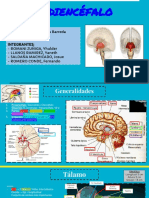 DIENCEFALO