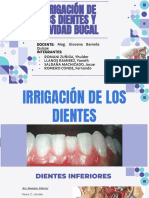 Irrigación de Los Dientes y Cavidad Bucal