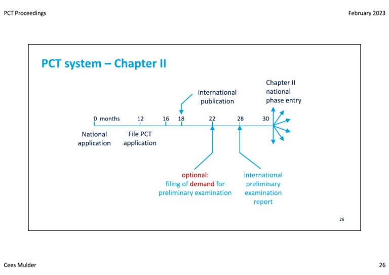 PCT Chapter 2 | PDF