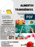 Alimentos Trasgenicos