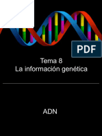 4 º Ud.8.Inf - Genetica