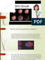 Muerte Celular Microbilogia